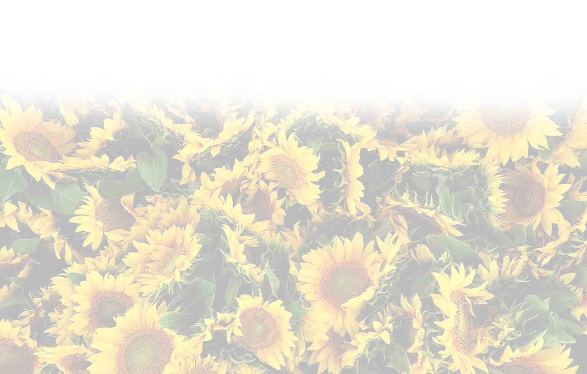 full screen background image