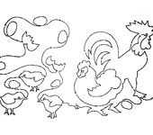 Animals