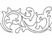 Feathers