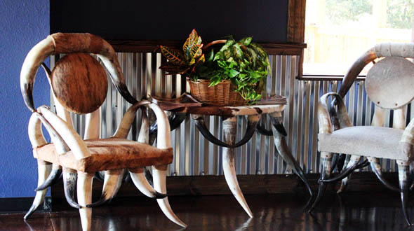 Sit in a Chair Made from Steer Horns